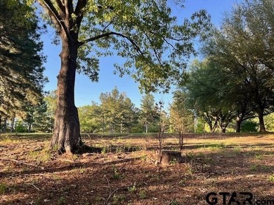 Own 50 feet of water access with this half acre property on Lake - photo 9