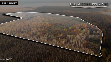 Mississippi River - Lake County Acreage For Sale in Ridgely Tennessee