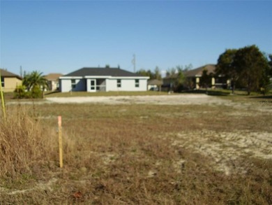 BUY THIS FANTASTIC LOT IN BEAUTIFUL CAPE CORAL. BUILD YOUR DREAM - photo 4