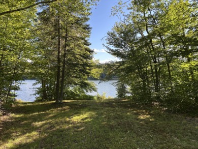 Lake Lot For Sale in Newcomb, New York