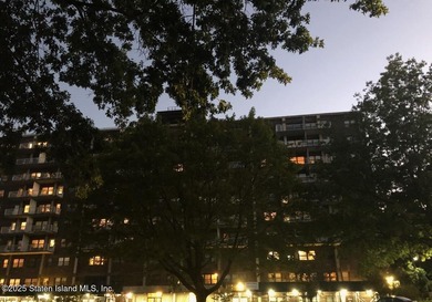 Staten Island's best-kept secret! This luxury high-rise offers a - photo 3