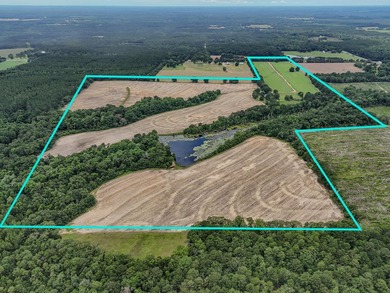 EXECPTIONAL 156.22-acre property offering country living - photo 2