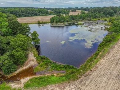 EXECPTIONAL 156.22-acre property offering country living - photo 3