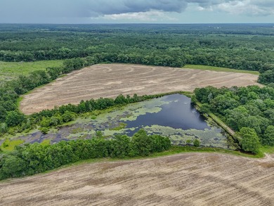 EXECPTIONAL 156.22-acre property offering country living - photo 5