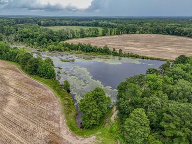 EXECPTIONAL 156.22-acre property offering country living - photo 6