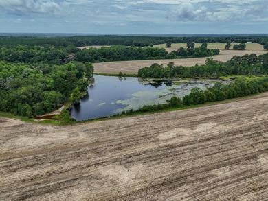 EXECPTIONAL 156.22-acre property offering country living - photo 9