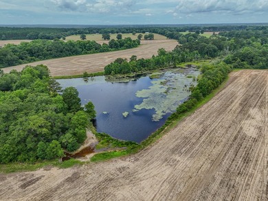 EXECPTIONAL 156.22-acre property offering country living - photo 10