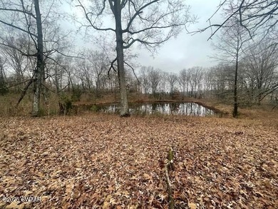Lake Acreage For Sale in Sardis, Tennessee