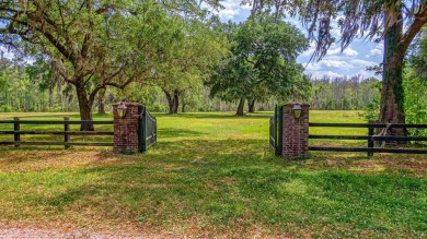 Lake Acreage For Sale in Ravenel, South Carolina