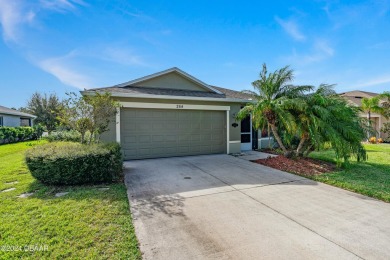 (private lake, pond, creek) Home For Sale in Daytona Beach Florida