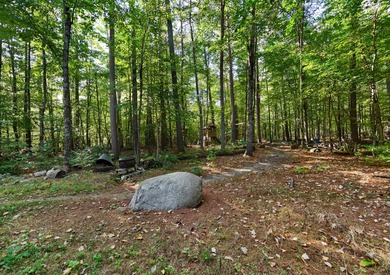 Motivated Sellers - Adirondack Home for Sale Near Whiteface & - photo 5