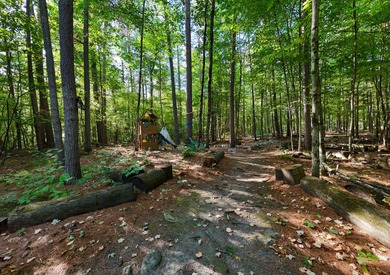 Motivated Sellers - Adirondack Home for Sale Near Whiteface & - photo 6