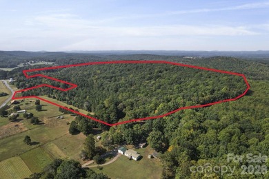 Discover a rare opportunity with this expansive 80+/- acre - photo 2