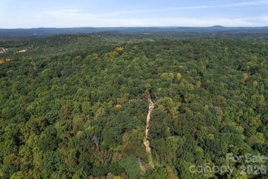 Discover a rare opportunity with this expansive 80+/- acre - photo 4
