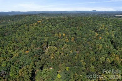 Discover a rare opportunity with this expansive 80+/- acre - photo 5