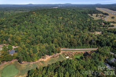 Discover a rare opportunity with this expansive 80+/- acre - photo 8