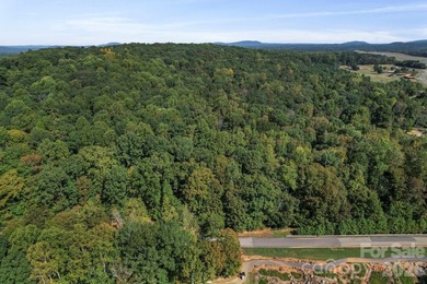 Discover a rare opportunity with this expansive 80+/- acre - photo 9