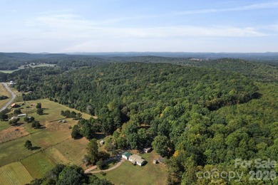 Discover a rare opportunity with this expansive 80+/- acre - photo 10