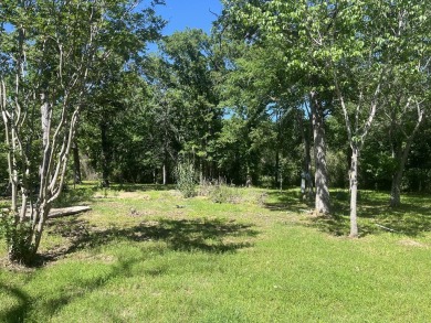 Lake Lot For Sale in Log Cabin, Texas