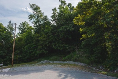 Norris Lake Lot For Sale in New Tazewell Tennessee