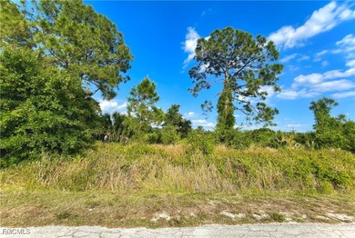 Lehigh Acres Area Lot For Sale in Lehigh Acres Florida
