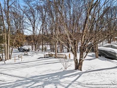 Whiskey Creek Lake Lot For Sale in Custer Michigan