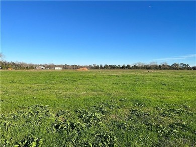 Wow! BRAND NEW SUBDIVISION: The Meadow at Fairhope. An - photo 7