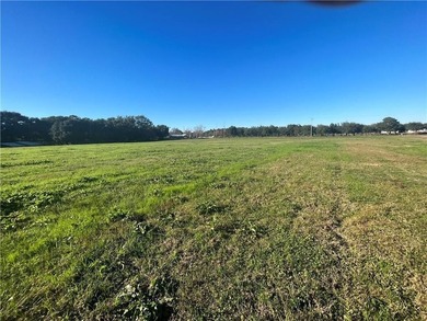 Wow! BRAND NEW SUBDIVISION: The Meadow at Fairhope. An - photo 8