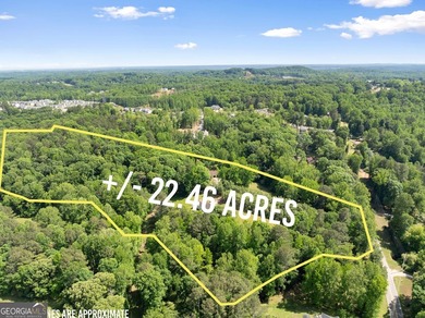 Exceptional opportunity to own a private North Georgia family - photo 29