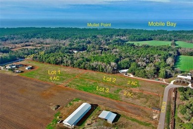 Wow! BRAND NEW SUBDIVISION: The Meadow at Fairhope. An - photo 9