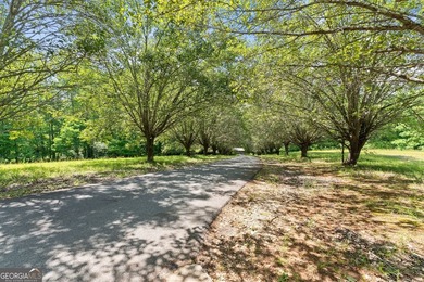 Exceptional opportunity to own a private North Georgia family - photo 31