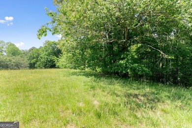Exceptional opportunity to own a private North Georgia family - photo 33