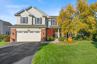 Manchester Lakes Home For Sale in Algonquin Illinois