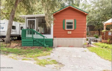 Lake Home For Sale in Salt Springs, Florida