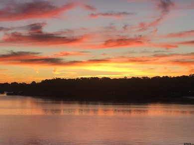Enjoy a front-row seat to Lake Palestine from this three-bedroom - photo 8