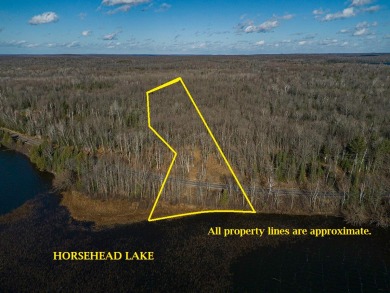 Horsehead Lake - Vilas County Acreage For Sale in Presque Isle Wisconsin