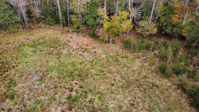2.7 ACRE COASTAL PROPERTY FOR SALE IN BEAUTIFUL MERRIMON BAY! - photo 12