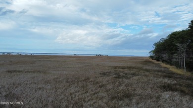 2.7 ACRE COASTAL PROPERTY FOR SALE IN BEAUTIFUL MERRIMON BAY! - photo 22