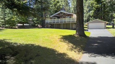 Wake up to the quiet hush of pine trees, sunlight spilling - photo 25
