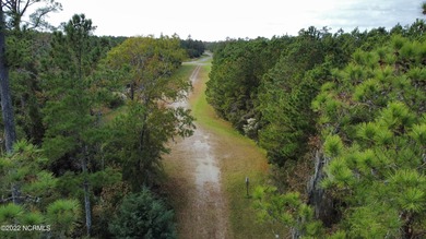 2.7 ACRE COASTAL PROPERTY FOR SALE IN BEAUTIFUL MERRIMON BAY! - photo 33