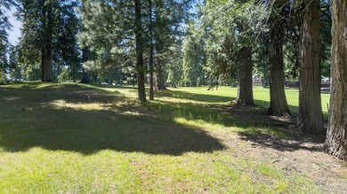 Wake up to the quiet hush of pine trees, sunlight spilling - photo 33