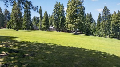 Wake up to the quiet hush of pine trees, sunlight spilling - photo 34
