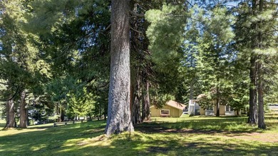 Wake up to the quiet hush of pine trees, sunlight spilling - photo 37