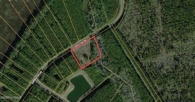 2.7 ACRE COASTAL PROPERTY FOR SALE IN BEAUTIFUL MERRIMON BAY! - photo 38