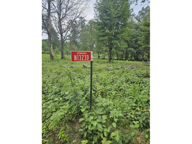 Partially cleared vacant lot in Southview Shores, just one block - photo 2