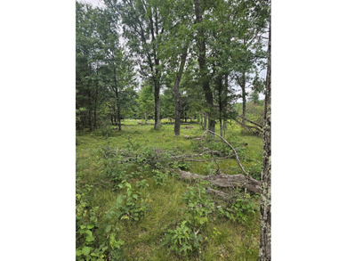 Partially cleared vacant lot in Southview Shores, just one block - photo 3