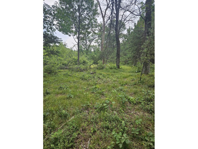 Partially cleared vacant lot in Southview Shores, just one block - photo 4