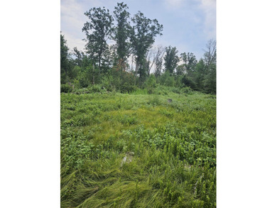 Partially cleared vacant lot in Southview Shores, just one block - photo 5