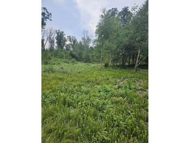Partially cleared vacant lot in Southview Shores, just one block - photo 6