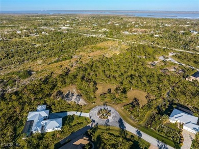 Welcome to Calusa Ridge! OVERSIZED LOT - 1.46 ACRES! NO - photo 3